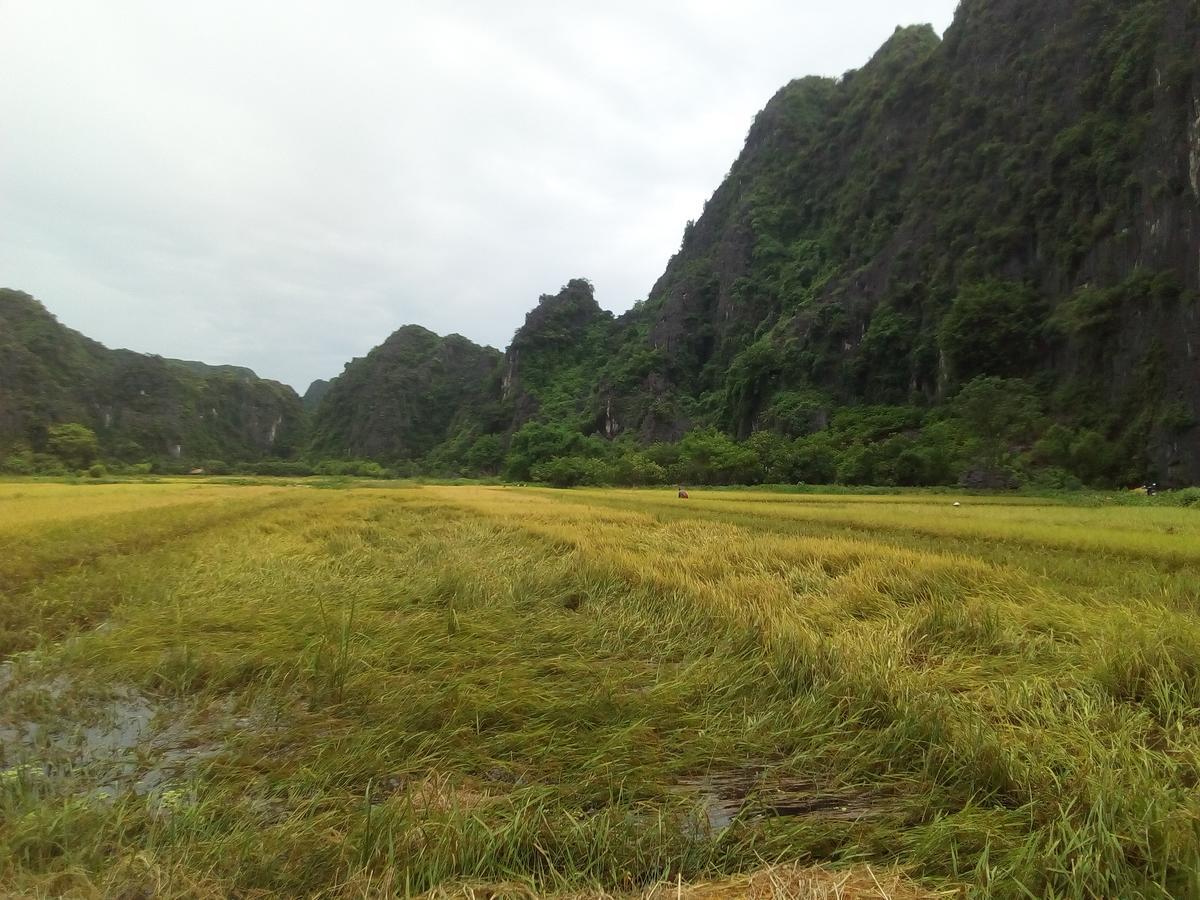 Tam Coc Smile Homestay Ninh Binh Dış mekan fotoğraf